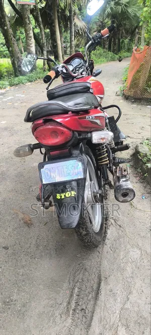 বাজাজ প্লাটিনা ১০০ ২০২১ রেড