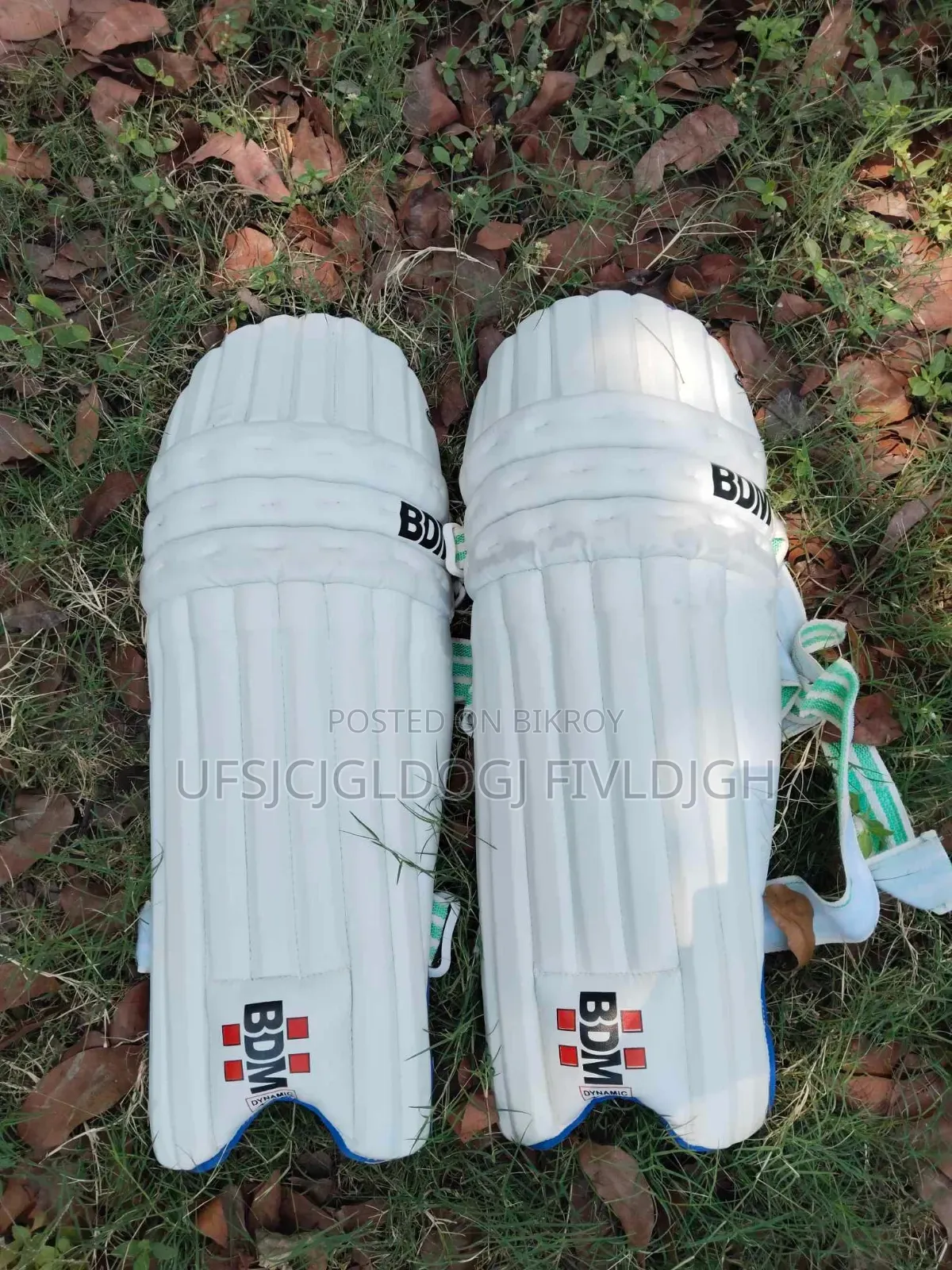 Cricket Bat and football item