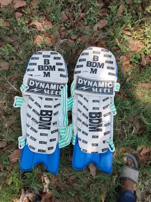 Cricket Bat and football item