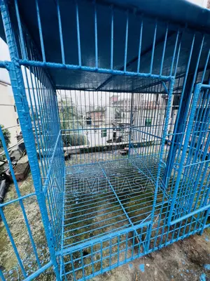 কবুতরের ধাপড়ি