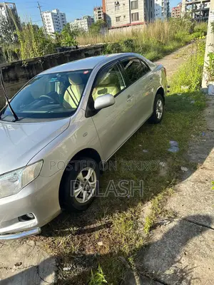 Toyota Axio 1.5 G 2WD 2010 Silver