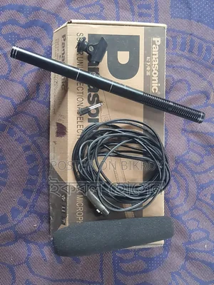 Panasonic Microphone 🎤