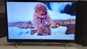 Singer TV 32"