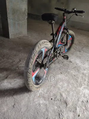 হিরো স্পোর্ট বাইসাইকেল