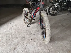 হিরো স্পোর্ট বাইসাইকেল