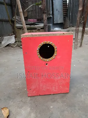 টিয়া পাখির বাসা/ডিম বক্স