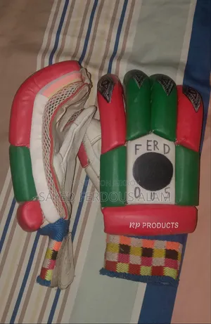 Helmet and Gloves for Cricket