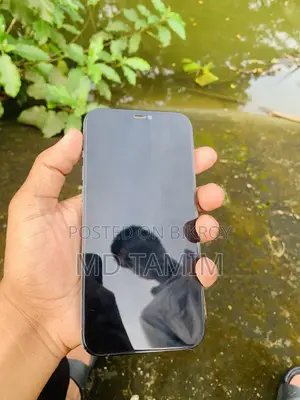 Apple iPhone 12 Pro Max 128 GB Blue