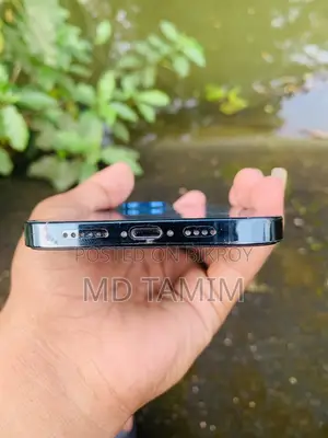 Apple iPhone 12 Pro Max 128 GB Blue