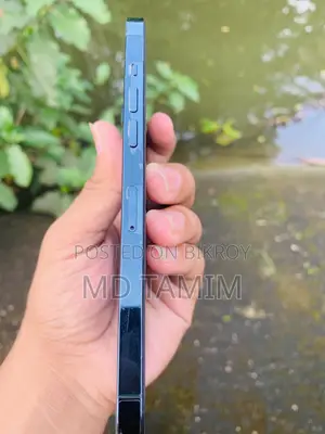 Apple iPhone 12 Pro Max 128 GB Blue