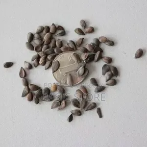 চায়না আপেল বীজ