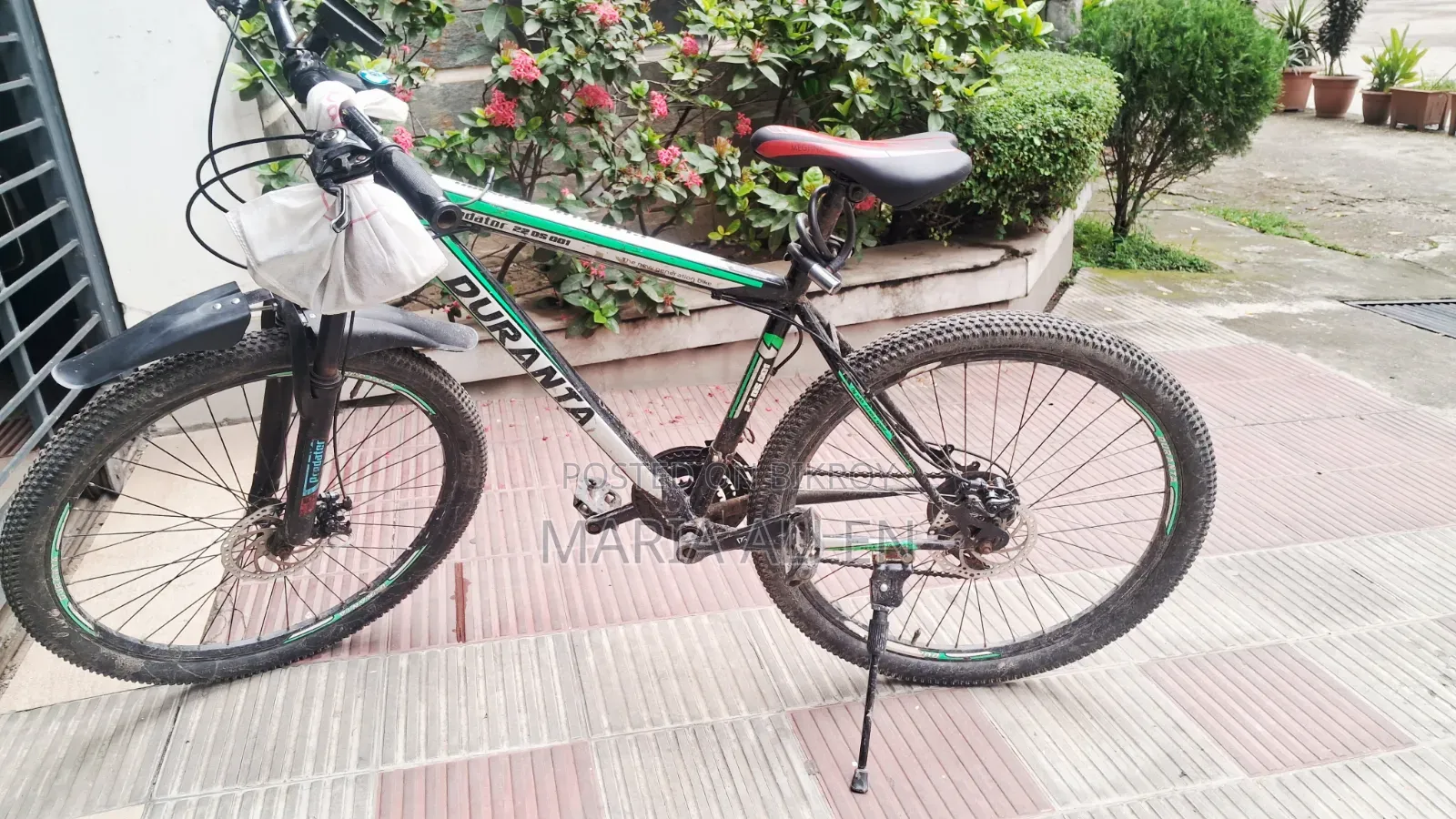 Duranta Cycle for Sale