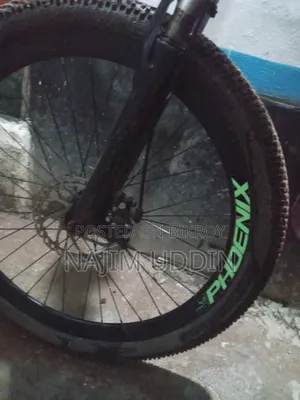 ফিনিক্স মাউন্টেন বাইক (গিয়ার সমস্যা)