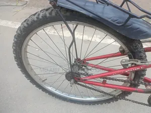 রিফ্লেক্স সাইকেল