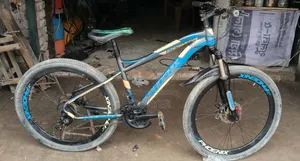 সাইকেল টা ভালো কোন সমেস্যা নাই