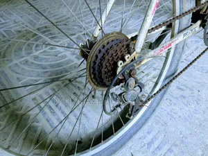 Bcycle Gear Low Price