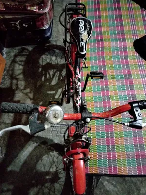 Cycle 2020 Red