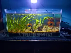 Plated Aquarium Full Setup Without Filter