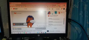 HP Monitor