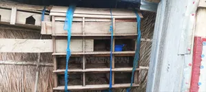 কবুতরের খোপ