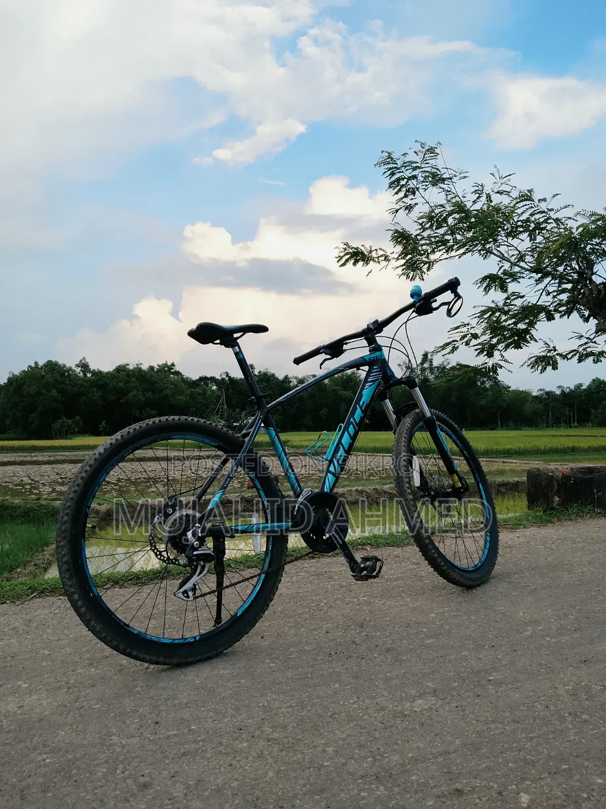 ব্যবহৃত বাইসাইকেল বিক্রয়: Veloce Outrage 602