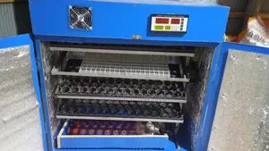 Egg Hatching Machine - Incubator