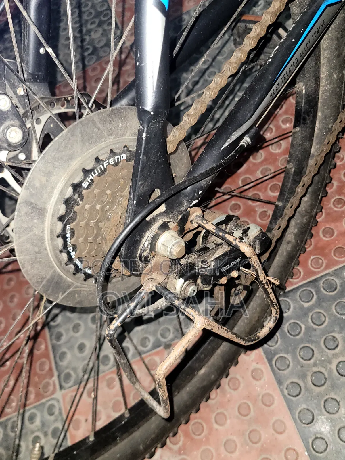 Seventy One Warrior 1.0