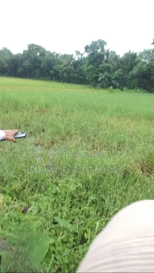 ৮ লক্ষ্য করে শতাংশ,হাইওয়ের পাশে জমি, লাকসাম।