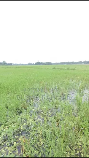 ৮ লক্ষ্য করে শতাংশ,হাইওয়ের পাশে জমি, লাকসাম।