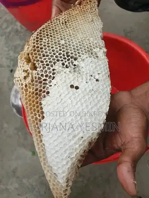 সুন্দরবনের প্রাকৃতিক চাকের মধু
