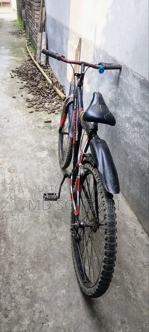Bicycle for sale