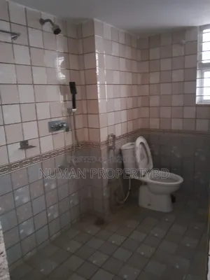 4-Bedroom Apartment in Numan Property Bd, Basundhara for Rent