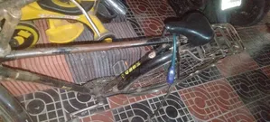 হিরো রয়্যাল