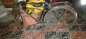 হিরো রয়্যাল