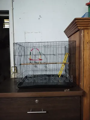 Bird Case, পাখির খাচা (New)