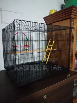 Bird Case, পাখির খাচা (New)