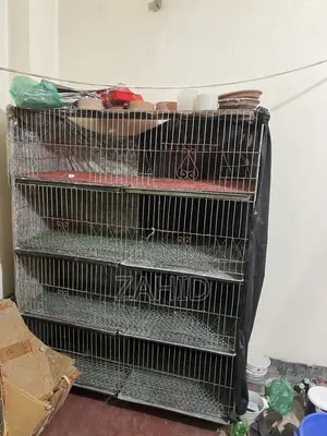 3 cages with 8 rooms will be sold