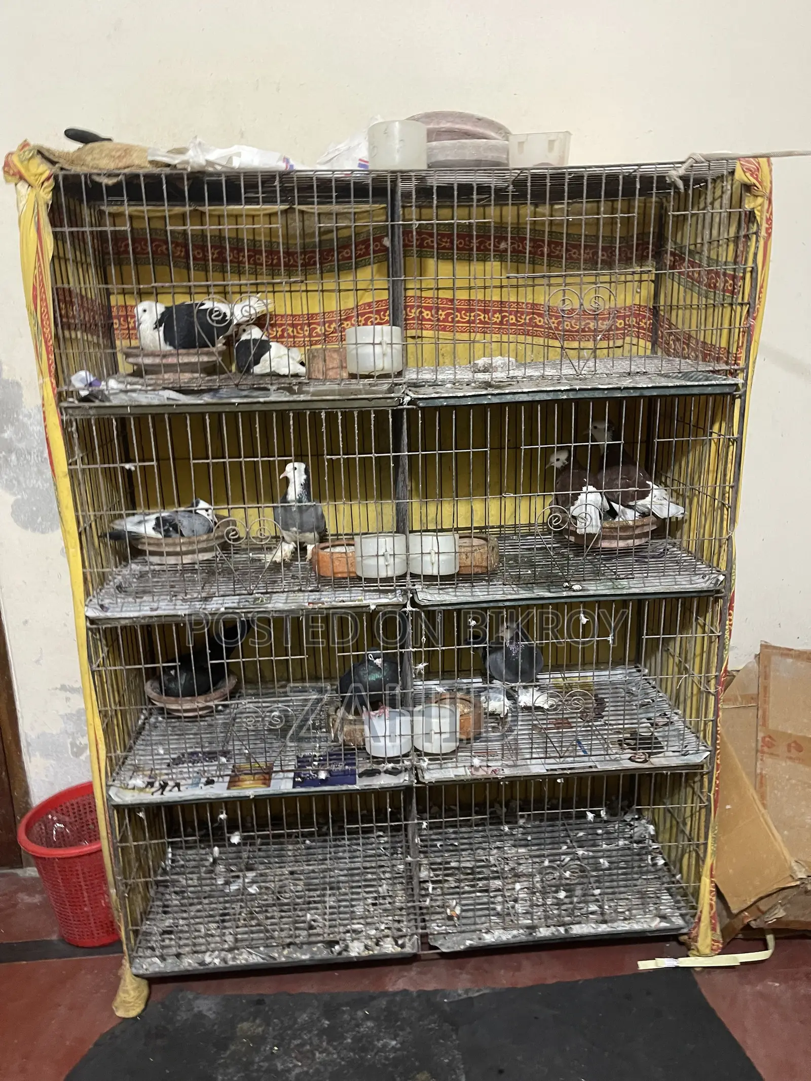 3 cages with 8 rooms will be sold