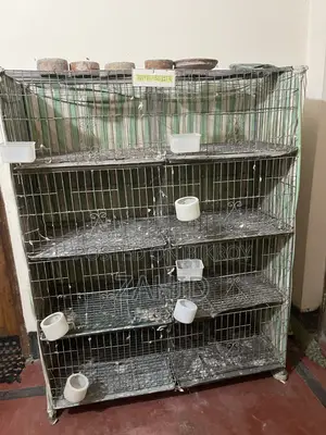 3 cages with 8 rooms will be sold