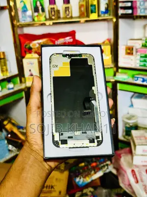 iPhone 12 Pro Max Display