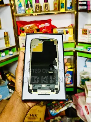 iPhone 12 Pro Max Display