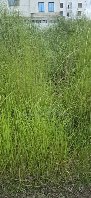 Uttara Third Phase Sector 17/G1, North-facing three katha plot for sale
