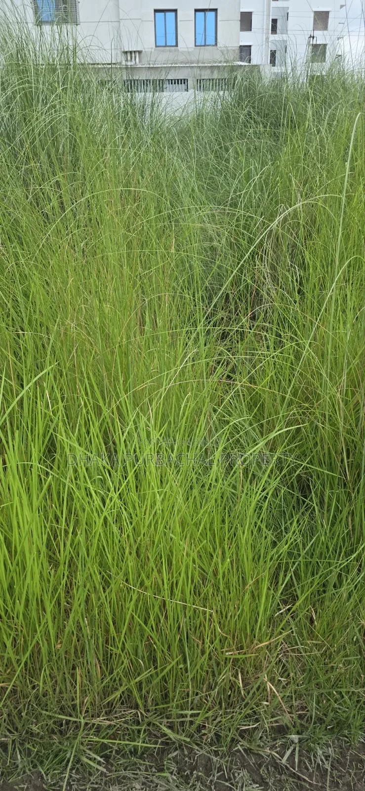 Uttara Third Phase Sector 17/G1, North-facing three katha plot for sale