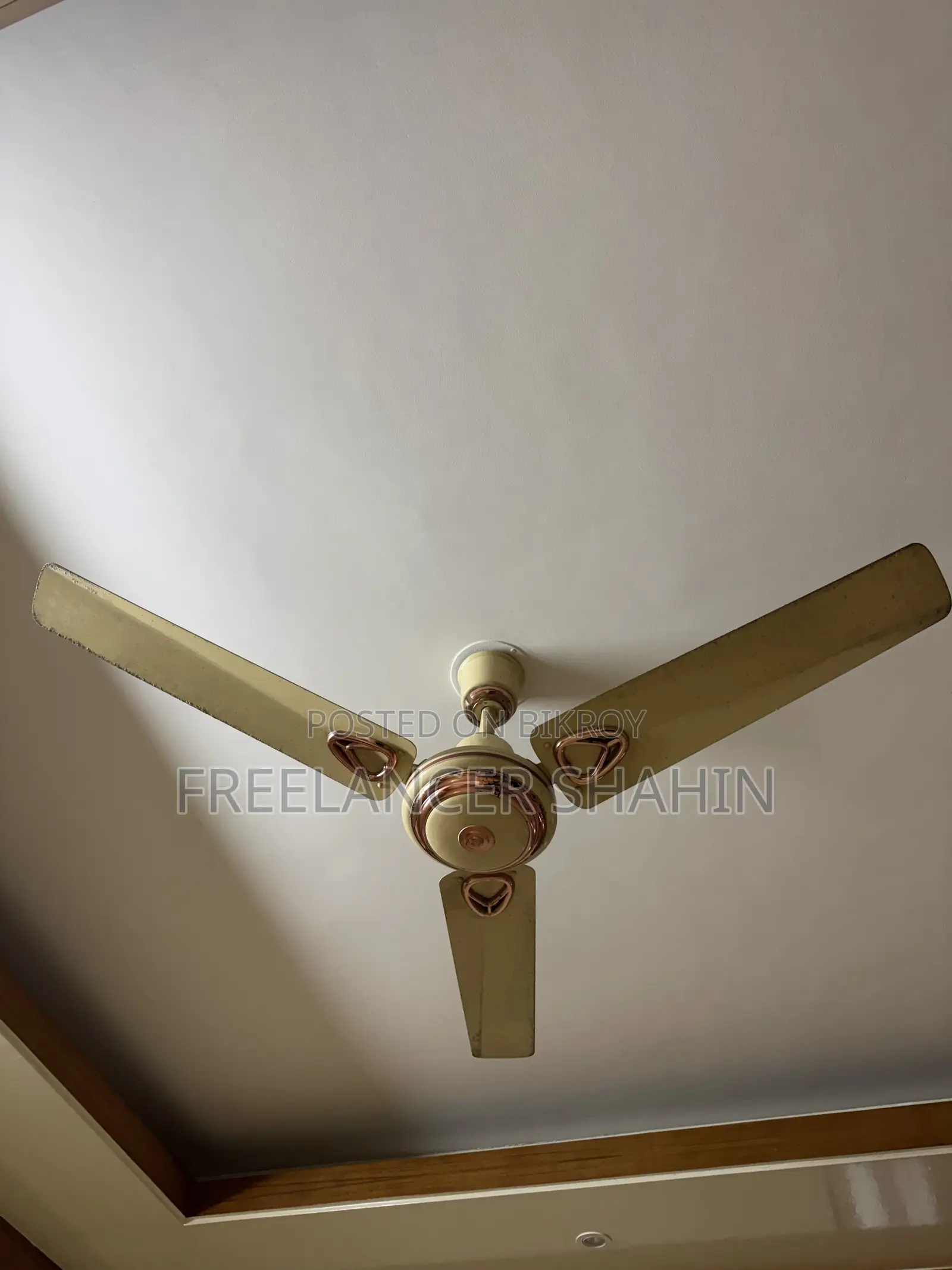 ফ্যান বিক্রয়ের জন্য