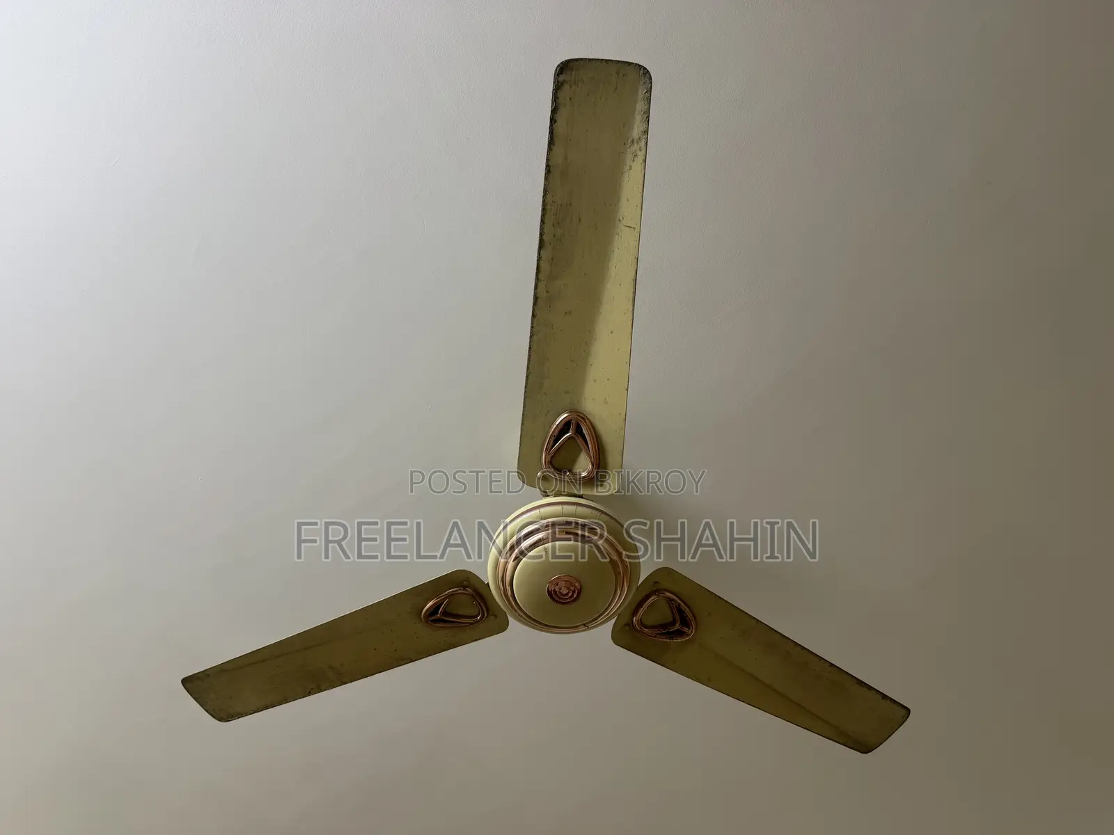 ফ্যান বিক্রয়ের জন্য