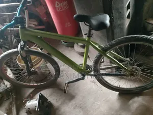 দুরন্ত সাইকেল