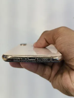 অ্যাপল আইফোন এক্সএস ৬৪ জিবি রোজ গোল্ড