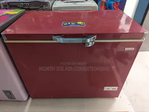 Singer Red Colour Deep 250 Ltr.