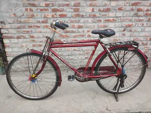 ইন্ডিয়ান হিরো