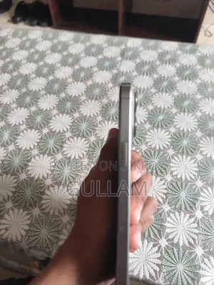 Apple iPhone 15 Pro Max 256 GB Silver